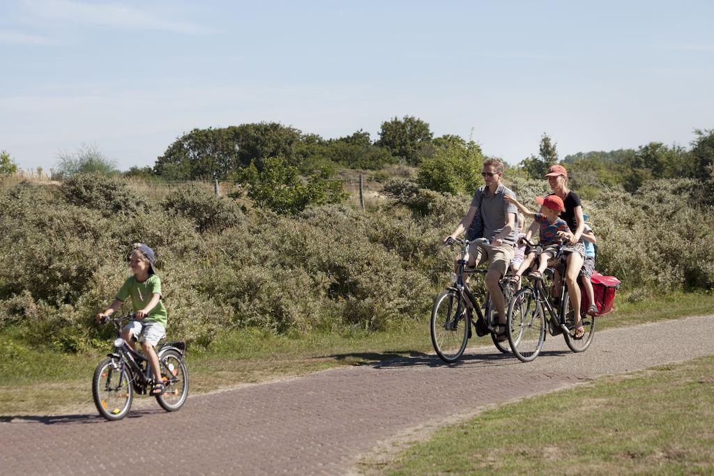 Bungalows - Bungalowpark Mooyeveld - Uniek Gelegen In De Duinen! Egmond-Binnen Kültér fotó