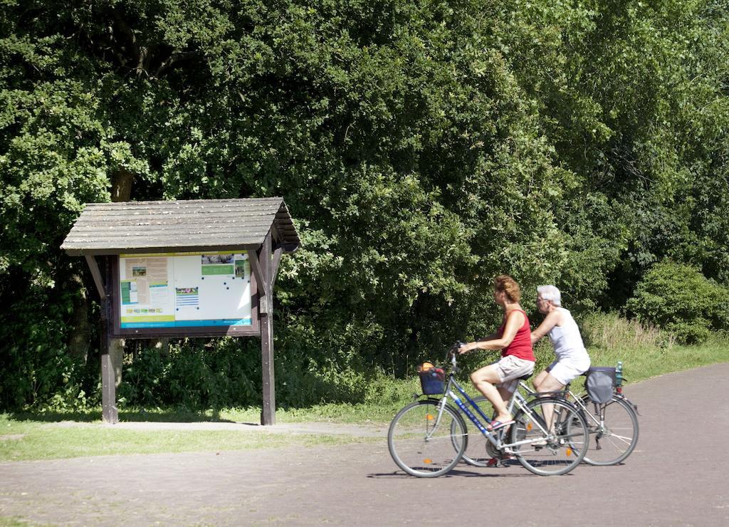 Bungalows - Bungalowpark Mooyeveld - Uniek Gelegen In De Duinen! Egmond-Binnen Kültér fotó