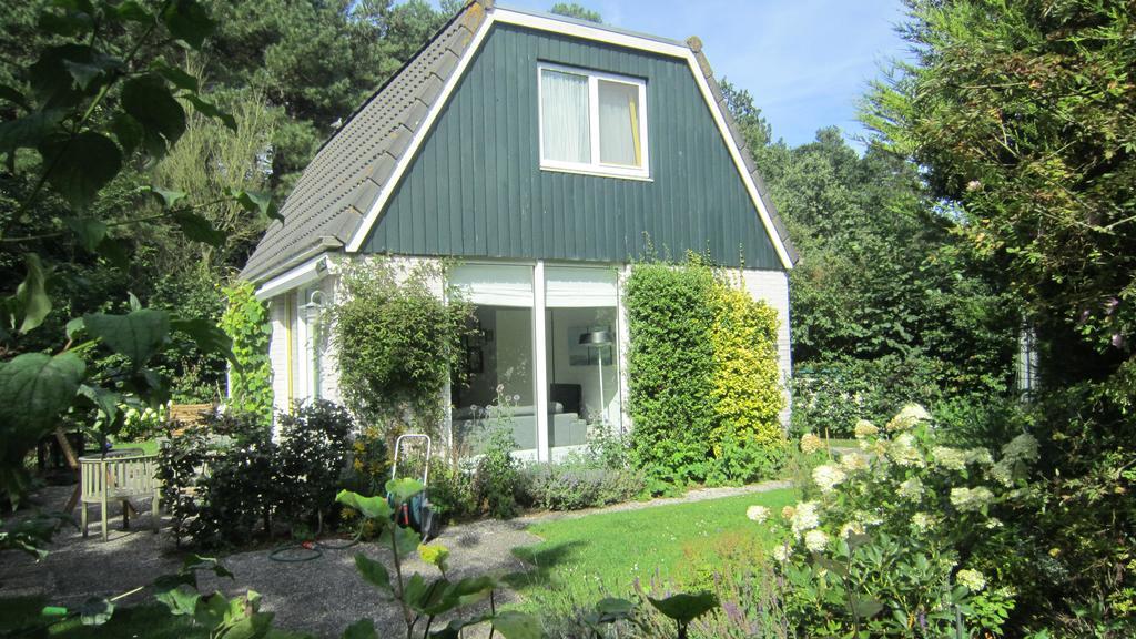Bungalows - Bungalowpark Mooyeveld - Uniek Gelegen In De Duinen! Egmond-Binnen Kültér fotó